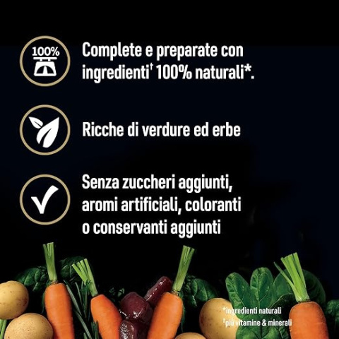 CESAR mokra karma dla psa bezzbożowa jagnięcina i warzywa 400g CESAR CESAR mokra karma dla psa bezzbożowa jagnięcina i warzywa 400g CESAR