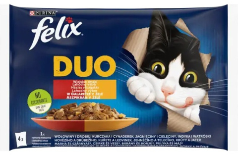 Felix Fantastic Duo Wiejskie Smaki w galaretce 340 g ( 4x85g)