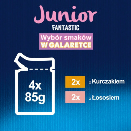 Felix Fantastic Junior Karma dla kociąt wybór smaków gal. 340 g (4 x 85 g)