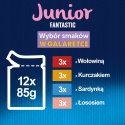 Felix Fantastic Junior Karma dla kociąt wybór smaków w galaretce 12 x 85 g