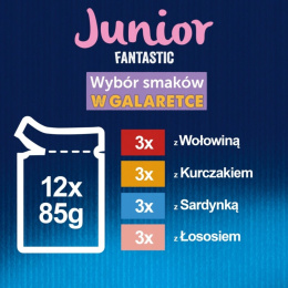 Felix Fantastic Junior Karma dla kociąt wybór smaków w galaretce 12 x 85 g