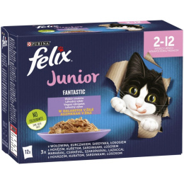 Felix Fantastic Junior Karma dla kociąt wybór smaków w galaretce 12 x 85 g