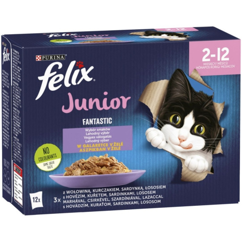 Felix Fantastic Junior Karma dla kociąt wybór smaków w galaretce 12 x 85 g