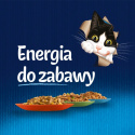 Felix Fantastic Karma dla kotów rybne smaki w galaretce 12 x 85 g