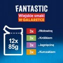 Felix Fantastic Karma dla kotów wiejskie smaki Mięsne w galaretce 12 x 85 g