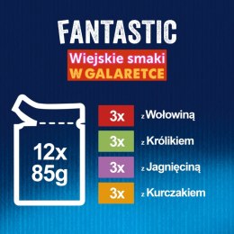Felix Fantastic Karma dla kotów wiejskie smaki Mięsne w galaretce 12 x 85 g