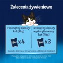 Felix Fantastic Karma dla kotów wiejskie smaki Mięsne w galaretce 12 x 85 g