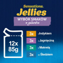 Felix Sensations Jellies Karma dla kotów wybór smaków w galaretce 12 x 85 g