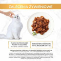 Gourmet Gold Karma dla kotów casserole z kaczką i indykiem w sosie 85 g