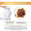 Gourmet Gold Karma dla kotów kawałki w smakowitym sosie z wołowiną 85 g