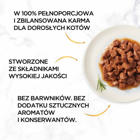 Gourmet Gold Karma dla kotów łosoś i kurczak w sosie z pomidorami 85 g Gourmet Gold Karma dla kotów łosoś i kurczak w sosie z pomidorami 85 g