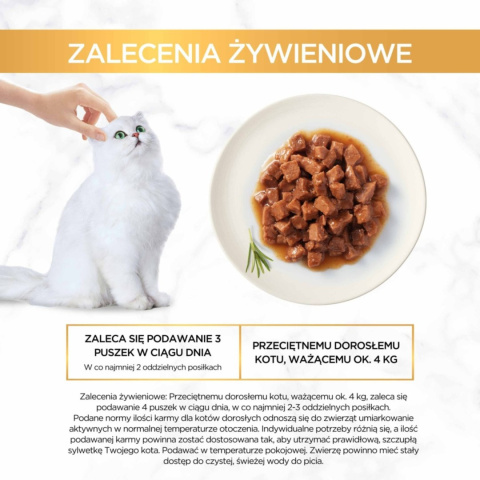 Gourmet Gold Karma dla kotów łosoś i kurczak w sosie z pomidorami 85 g Gourmet Gold Karma dla kotów łosoś i kurczak w sosie z pomidorami 85 g