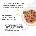 Gourmet Gold Karma mokra dla kotów dorosłych z rybą oceaniczną 85 g