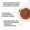 Gourmet Gold Karma mokra dla kotów dorosłych z wołowiną 85 g