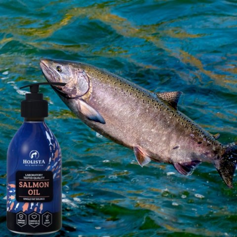 OLEJ Z ŁOSOSIA DLA PSA I KOTA HOLISTA Salmon Oil 250 ml OMEGA-3 WITAMINY OLEJ Z ŁOSOSIA DLA PSA I KOTA HOLISTA Salmon Oil 250 ml OMEGA-3 WITAMINY