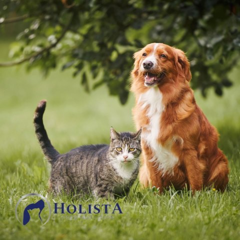 OLEJ Z ŁOSOSIA DLA PSA I KOTA HOLISTA Salmon Oil 250 ml OMEGA-3 WITAMINY OLEJ Z ŁOSOSIA DLA PSA I KOTA HOLISTA Salmon Oil 250 ml OMEGA-3 WITAMINY