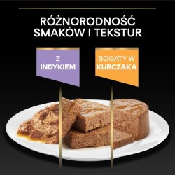 PRO PLAN Kitten Health Start Karma dla kociąt z indykiem w sosie 85 g