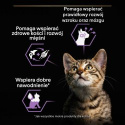 PRO PLAN Kitten Health Start Karma dla kociąt z indykiem w sosie 85 g