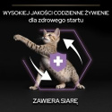 PRO PLAN Kitten Mus z Kurczakiem Mokra karma dla kociąt 85 g puszka