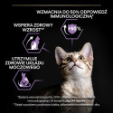 PRO PLAN Kitten Mus z Kurczakiem Mokra karma dla kociąt 85 g puszka