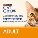 CAT CHOW Adult Mokra karma dla kotów z łososiem i fasolką 85 g galaretka