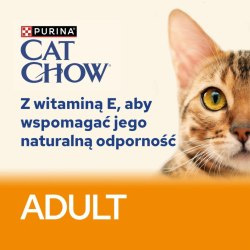 CAT CHOW Adult Mokra karma dla kotów z łososiem i fasolką 85 g galaretka CAT CHOW Adult Mokra karma dla kotów z łososiem i fasolką 85 g galaretka