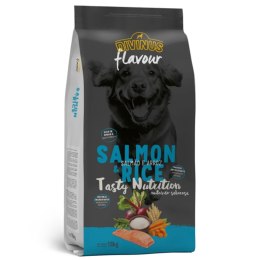 Divinus FLAVOUR łosoś z ryżem 18 kg Divinus