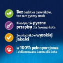 Felix Sensations Jellies Karma dla kotów wiejskie smaki w galaretce 4x 85 g