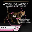PRO PLAN Delicate Digestion Karma dla kotów z rybą oceaniczną w sosie 85 g