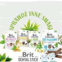 Brit Dental Stick Immuno Probiotics& Cinnamon przysmak dla psa 25g