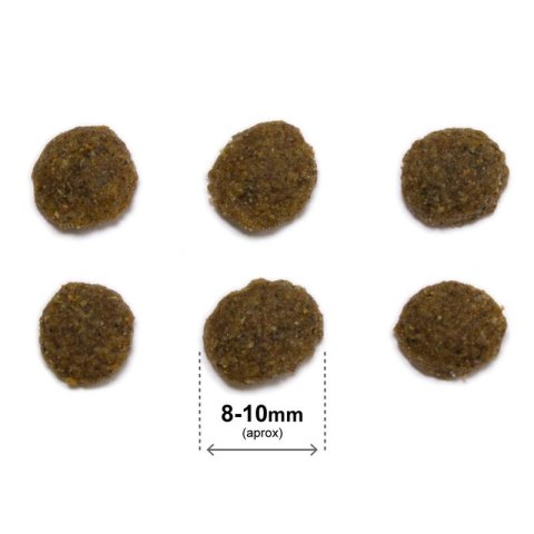 ARQUIVET CAT Original dla kotów sterylizowanych łosoś z ryżem 1,5 kg Arquivet ARQUIVET CAT Original dla kotów sterylizowanych łosoś z ryżem 1,5 kg Arquivet
