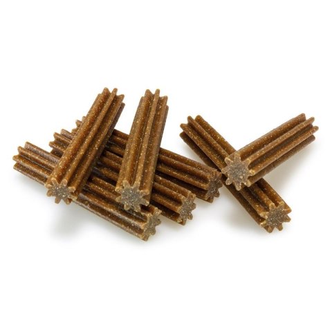 ARQUIVET Dentalstick 7 szt Arquivet ARQUIVET Dentalstick 7 szt Arquivet