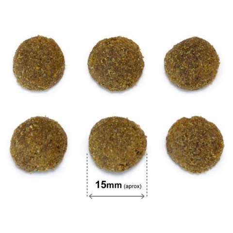 ARQUIVET Original wieprzowina iberyjska 20 kg Arquivet ARQUIVET Original wieprzowina iberyjska 20 kg Arquivet