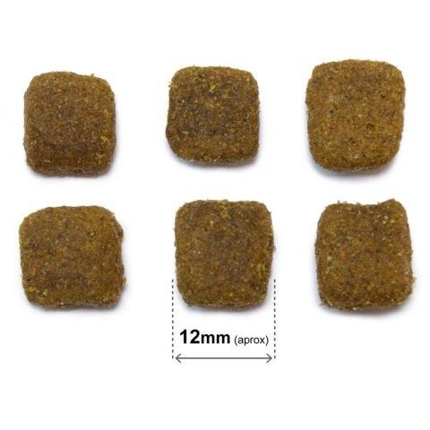 Arquivet Original Adult jagnięcina z ryżem 20 kg Arquivet Arquivet Original Adult jagnięcina z ryżem 20 kg Arquivet