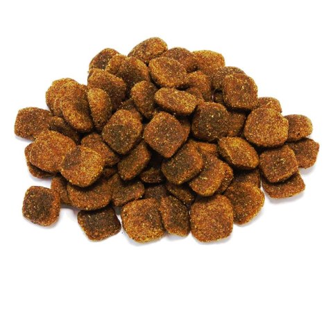 Arquivet Original wieprzowina iberyjska 12 kg Arquivet Arquivet Original wieprzowina iberyjska 12 kg Arquivet