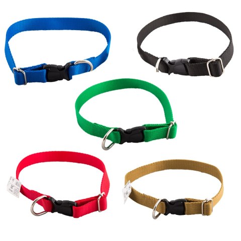JOKER Obroża 20mm/40-50cm klik Joker JOKER Obroża 20mm/40-50cm klik Joker