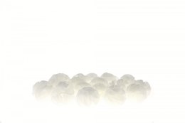 Baby Shrimp Shelters Biały 20 szt Deep Aqua For Shrimp