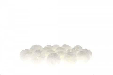 Baby Shrimp Shelters Biały 20 szt Deep Aqua For Shrimp Baby Shrimp Shelters Biały 20 szt Deep Aqua For Shrimp