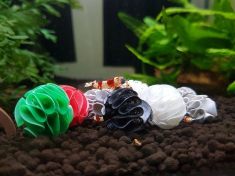Baby Shrimp Shelters Biały 20 szt Deep Aqua For Shrimp Baby Shrimp Shelters Biały 20 szt Deep Aqua For Shrimp