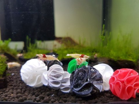 Baby Shrimp Shelters Czerwony 20 szt Deep Aqua For Shrimp Baby Shrimp Shelters Czerwony 20 szt Deep Aqua For Shrimp