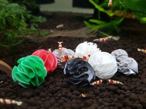 Baby Shrimp Shelters Czerwony 20 szt Deep Aqua For Shrimp Baby Shrimp Shelters Czerwony 20 szt Deep Aqua For Shrimp