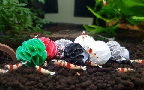 Baby Shrimp Shelters Czerwony 20 szt Deep Aqua For Shrimp Baby Shrimp Shelters Czerwony 20 szt Deep Aqua For Shrimp
