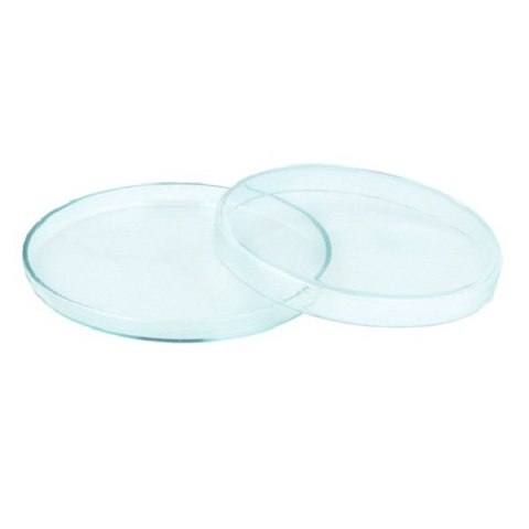 Deep Aqua Szklany Karmnik Karmidło 50/8 Deep Aqua For Shrimp Deep Aqua Szklany Karmnik Karmidło 50/8 Deep Aqua For Shrimp