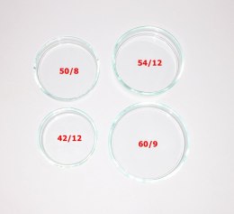 Deep Aqua Szklany Karmnik Karmidło 50/8 Deep Aqua For Shrimp