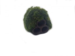 Gałęzatka Na Rurkobloczku Mikro 3-Rurki 40x30x30mm Naturalna Ozdoba Aquaplanet