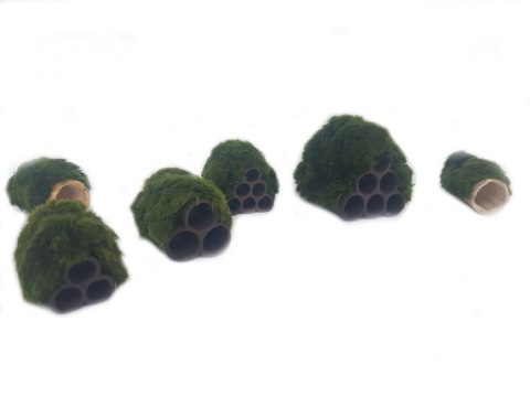 Gałęzatka Na Rurkobloczku Mikro 6-Rurek 40x40x40cm Naturalna Ozdoba Aquaplanet Gałęzatka Na Rurkobloczku Mikro 6-Rurek 40x40x40cm Naturalna Ozdoba Aquaplanet