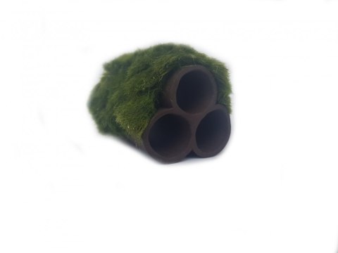 Gałęzatka Na Rurkobloczku Mini 3-Rurki 50x35x35mm Naturalna Ozdoba Aquaplanet Gałęzatka Na Rurkobloczku Mini 3-Rurki 50x35x35mm Naturalna Ozdoba Aquaplanet
