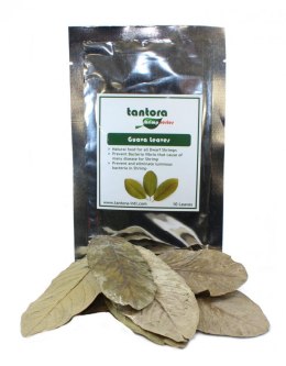 Tantora Guava Leaves Liście Guawy 10Szt. Tantora