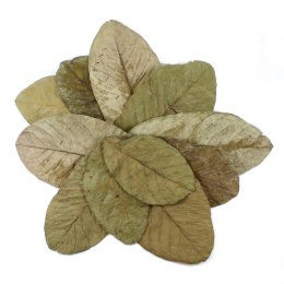 Tantora Guava Leaves Liście Guawy 10Szt. Tantora