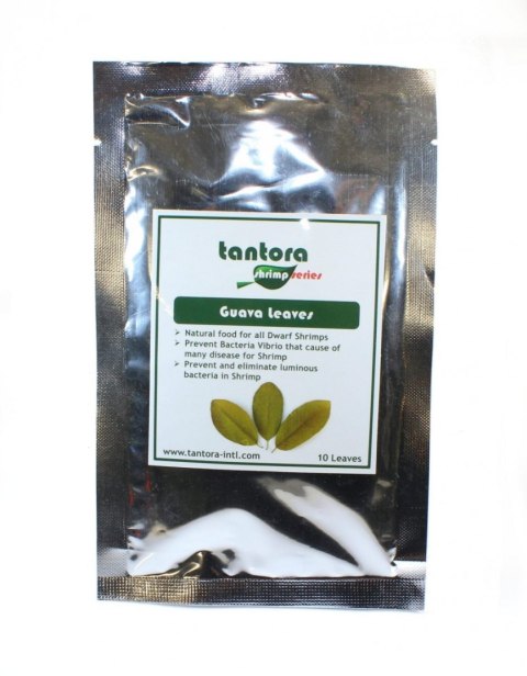 Tantora Guava Leaves Liście Guawy 10Szt. Tantora Tantora Guava Leaves Liście Guawy 10Szt. Tantora